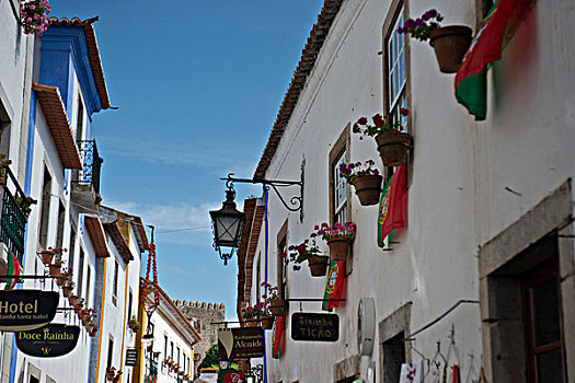 彩色,图像,仰视,主要街道,葡萄牙,标识,花,灯,城堡,壁,背景