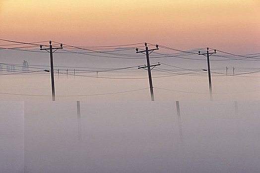 电,杆,雾,山谷,不列颠哥伦比亚省,加拿大