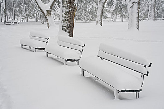 积雪,长椅,公园