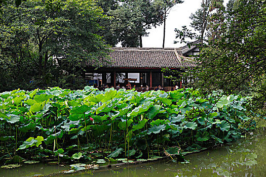 成都杜甫草堂,水榭,荷塘