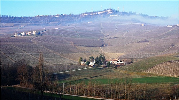 葡萄酒,农场,皮埃蒙特区,意大利
