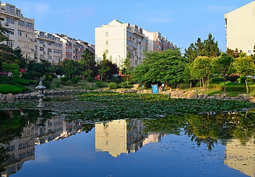 天高云淡,小区