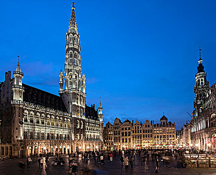 大,地点,大广场,左边,市政厅,右边,黎明,布鲁塞尔,比利时,欧洲