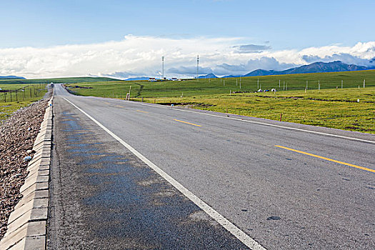 中国西部荒野道路