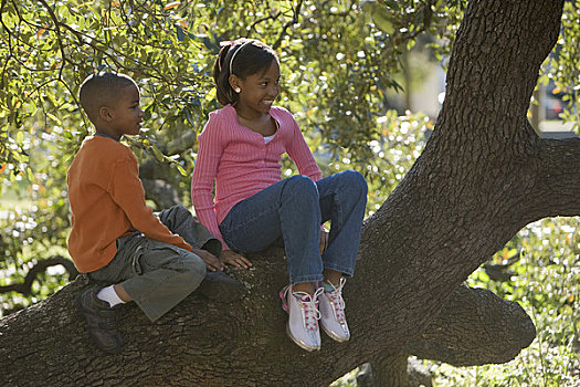 肖像,美国黑人,男孩,女孩,坐在树上,枝条,公园