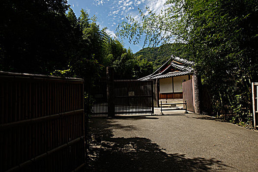 日本,京都,岚山