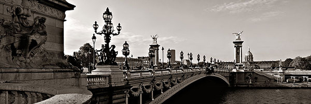 亚历山大三世,桥,塞纳河,全景,巴黎,法国