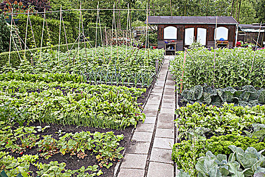 菜园,木质,避暑别墅