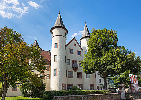 城堡,施佩萨特,弗兰克尼亚,巴伐利亚,德国,欧洲