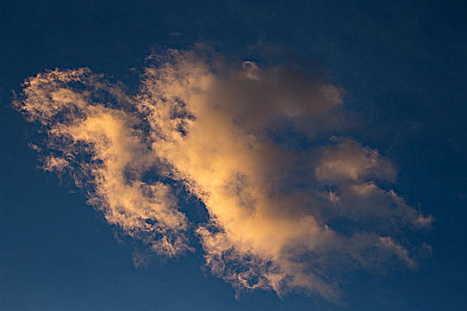 高积云,云,落日余晖,安达卢西亚,西班牙,欧洲