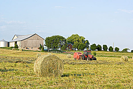 拖拉机,干草,安大略省,加拿大,农业