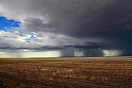 风暴,上方,农田,雅拉,湖,西澳大利亚州
