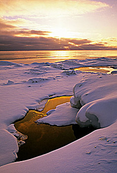 太阳,上方,乔治亚湾,布鲁斯半岛,冬天,安大略省,加拿大