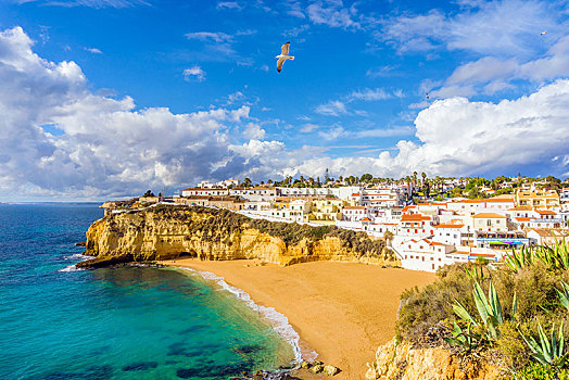 宽,沙滩,白房子,阴天,海鸥,阿尔加维,葡萄牙,欧洲