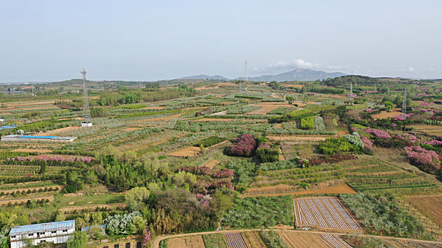 山东省日照市,暮春四月的美丽乡村,如一幅幅生态画卷