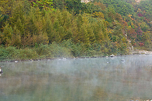 湖,水面,雾气,蒸腾,白雾,水蒸气,缥缈,仙境,灵性,家禽,鸭子,鹅,游动,自在,安静,自然,风光