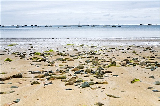 沙滩,花冈岩,石头