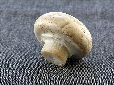 新鲜,洋蘑菇
