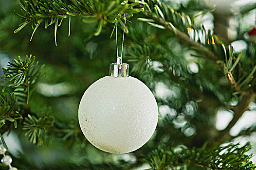 圣诞饰品,树上