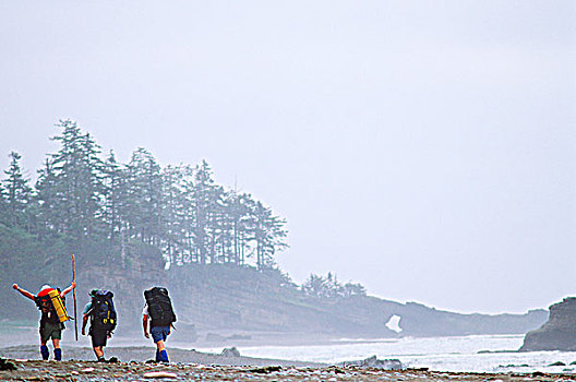 西海岸小径,远足者,头部,伸展胳膊,温哥华岛,不列颠哥伦比亚省,加拿大