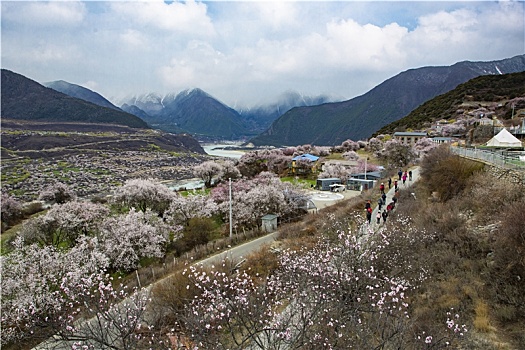 雅鲁藏布江大峡谷风光