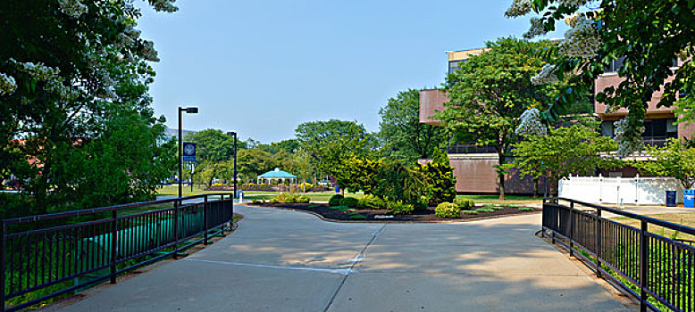 肯恩大学