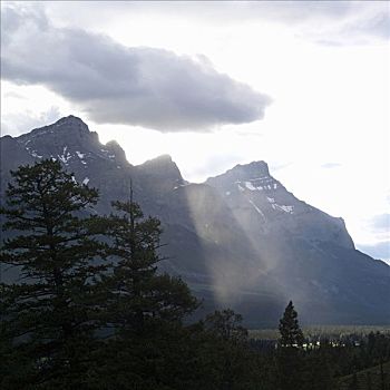 伦多山,班芙国家公园,阿尔卑斯草甸,山谷,加拿大,艾伯塔省