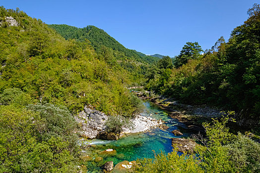 河,峡谷,靠近,黑山,欧洲