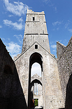 塔,修道院,男修道院,克雷尔县,爱尔兰,欧洲