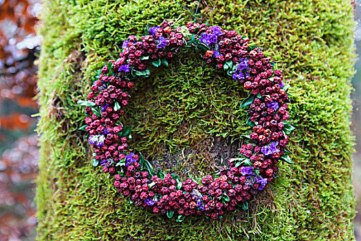 花环,红色浆果,紫色,海洋,薰衣草,悬挂,苔藓,树干
