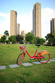 城市公园里的公共自行车,南京市公共自行车