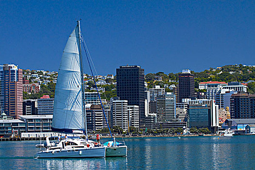 双体船,惠灵顿,港口,中央商务区,北岛,新西兰