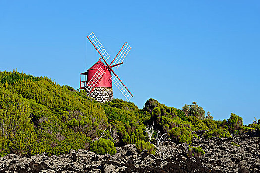 风车,皮库岛,亚速尔群岛,葡萄牙,欧洲