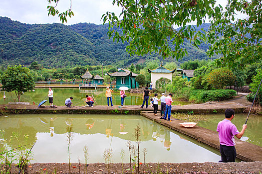 垂钓,钓鱼,水池