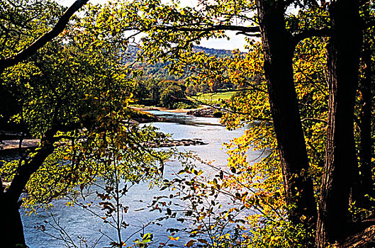 秋天,场景,白色,河,哈特福德,佛蒙特州,美国