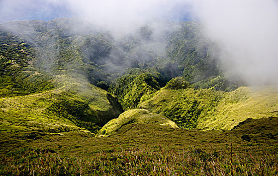 马提尼克,法属安的列斯群岛,西印度群岛,崎岖,峡谷,雕刻,山