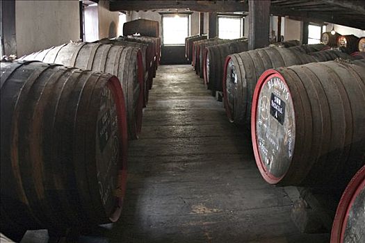 葡萄酒桶,酒窖,马德拉酒,丰沙尔,马德拉岛