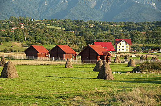 罗马尼亚,喀尔巴阡山脉地区,特兰西瓦尼亚,麸,农场,特色,干草,堆积