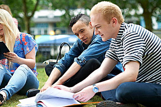 男性,学生,坐,工作,大学,校园