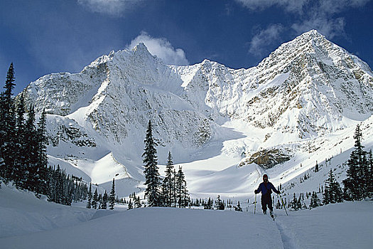 滑雪者,艾伯塔省,加拿大