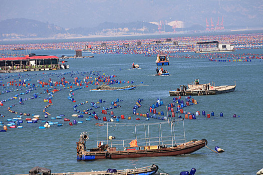 广东汕头,春季海洋养殖忙碌生产