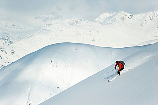 男人,滑雪,西部,脸,顶峰,特纳甘湾,楚加奇山,阿拉斯加