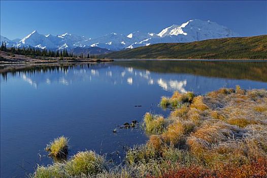 秋天,德纳里峰国家公园,麦金利山,反射,阿拉斯加,美国