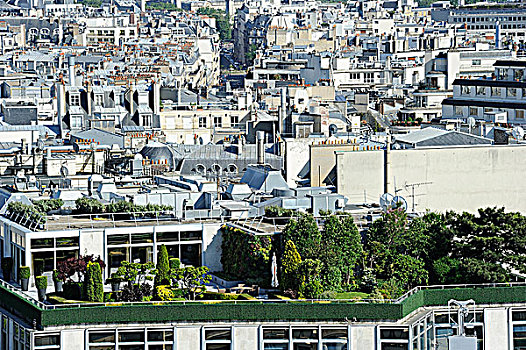 法国,巴黎,绿色,屋顶,平台