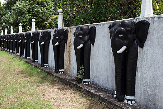 大象,头部,入口,石头,庙宇,中央省,斯里兰卡,亚洲