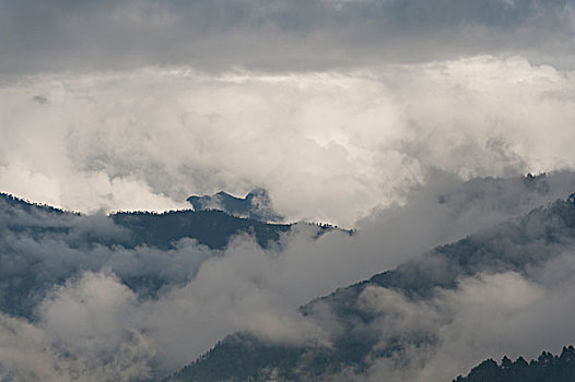 雾,上方,山,山谷,布姆唐,地区,不丹