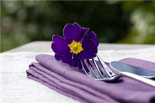 餐具摆放,紫色,餐巾