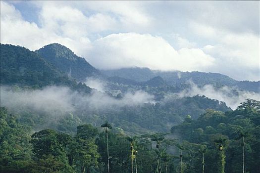 山谷,蒙特维多云雾森林自然保护区,哥斯达黎加