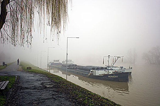 船,锚定,莱茵河,河,雾状,白天,洪水,锁,德国,欧洲