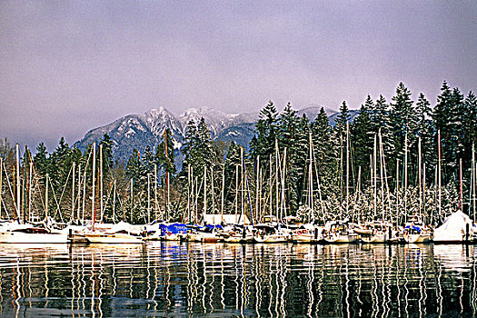 温哥华,划船,码头,雪中,不列颠哥伦比亚省,加拿大